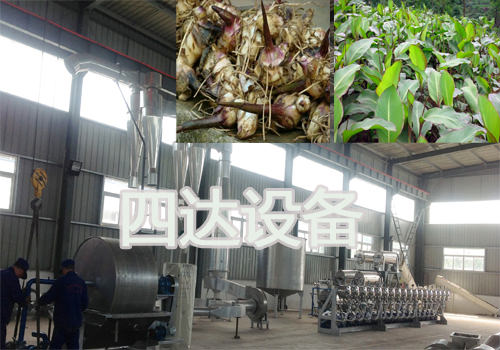 芭蕉芋淀粉生产设备